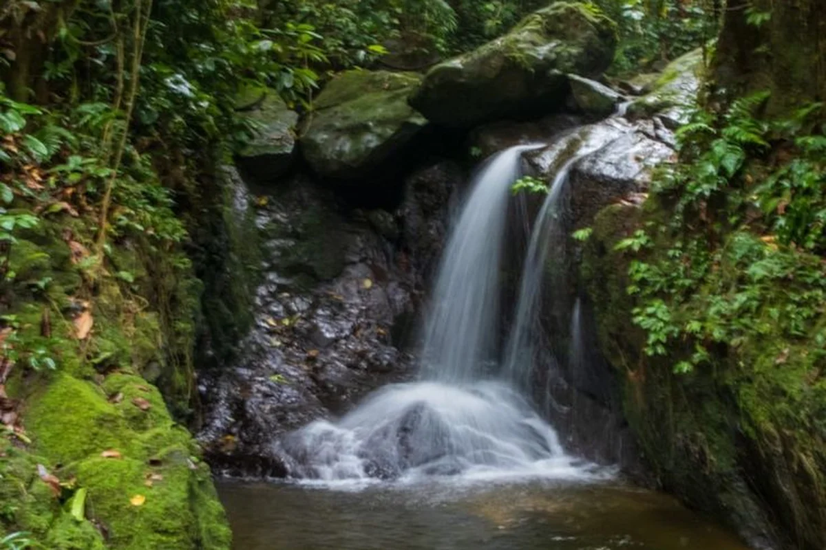 Hidden waterfall in Bukit Lawang jungle